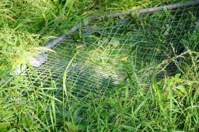 Esslingen: Pkw stuerzt Boeschung runter, Fahrer schwer verletzt